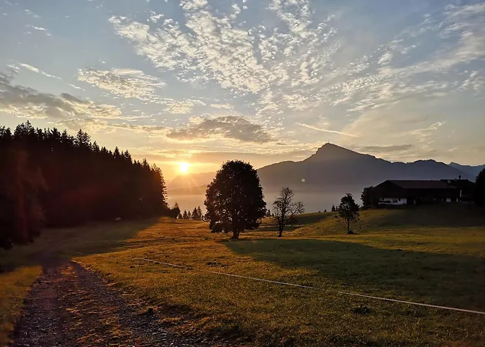 Appartement Brandhof