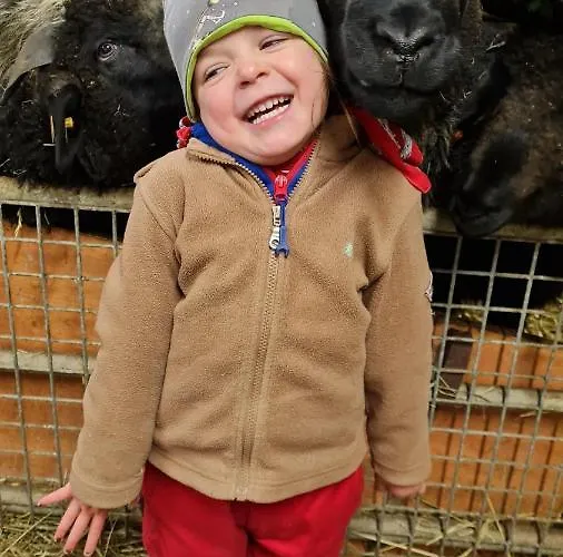 Brandhof Appartement