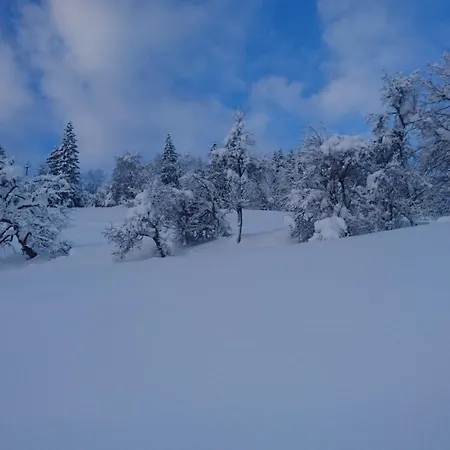 Brandhof Apartment Fieberbrunn